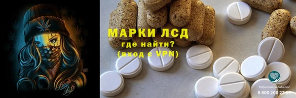 ПСИЛОЦИБИНОВЫЕ ГРИБЫ Вязьма