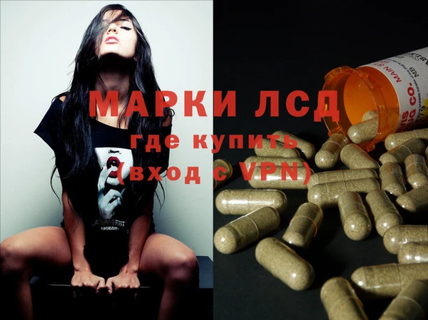 ПСИЛОЦИБИНОВЫЕ ГРИБЫ Вязьма