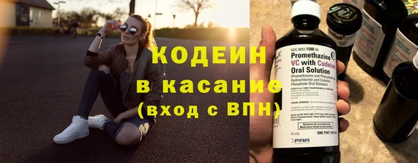 кокс Вяземский